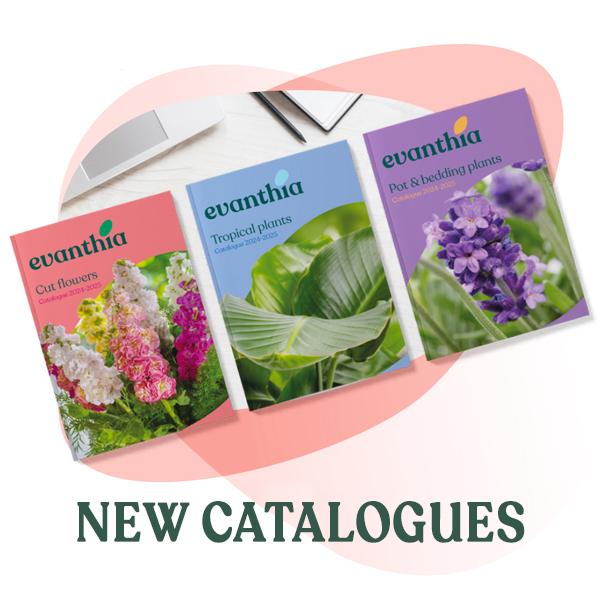 New catalogues