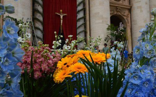 Press release: Dutch flowers back in St. Peter’s Square in Rome at Easter