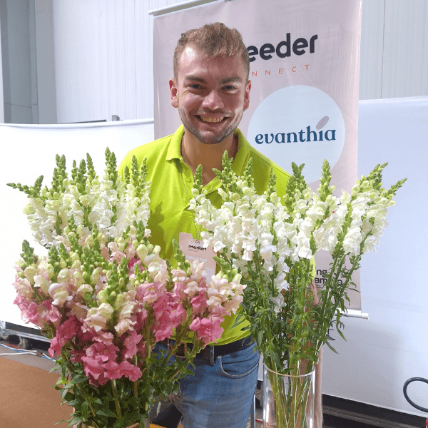 Flowers on show