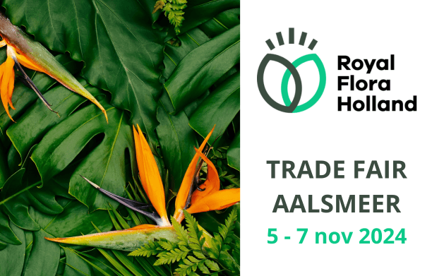 Discover Evanthia's top collection of Tropical Plants at the Trade Fair Aalsmeer