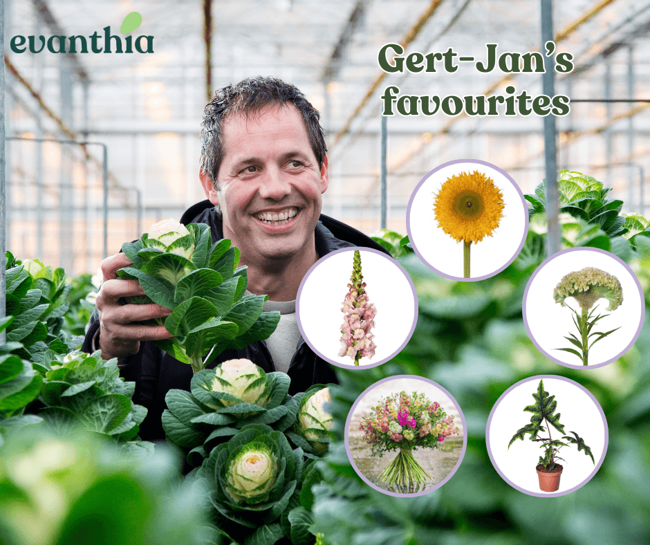 Gert-Jan's keuze