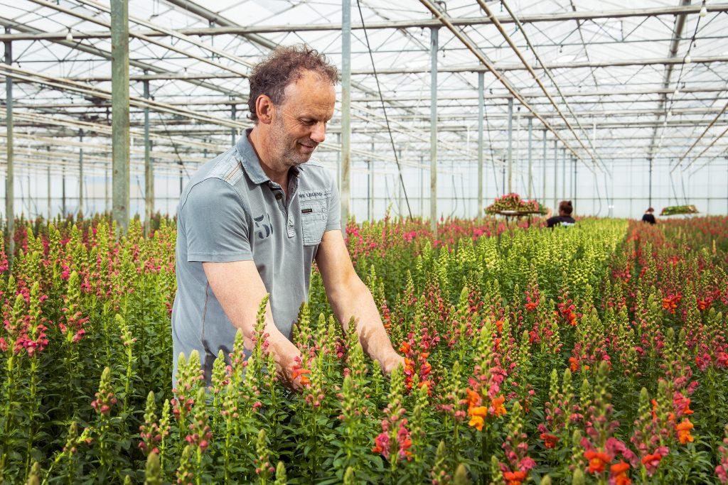 Vacature: Teeltspecialist R&D Flowers (fulltime)