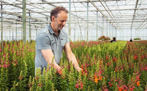 Vacature: Teeltspecialist R&D Flowers (fulltime)