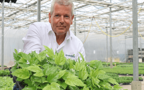 Countdown to 2025 with our experts' 5 favourites