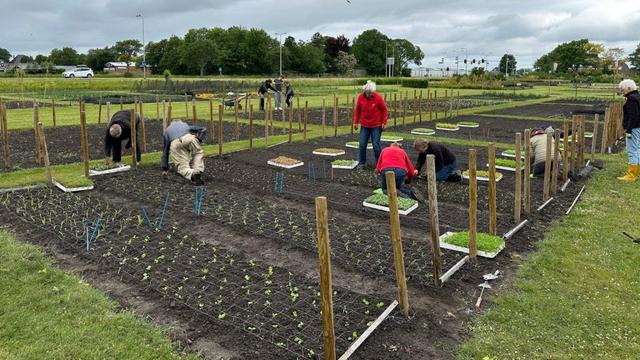 de-garden-maakt-zich-op-voor-een-kleurrijke-zomer