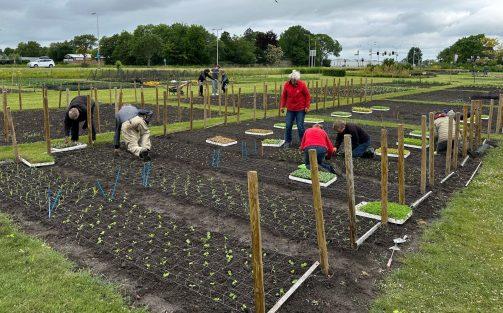 de-garden-maakt-zich-op-voor-een-kleurrijke-zomer